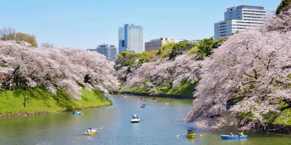 Japan Group Trip From Hyderabad 7 Nights / 8 Days