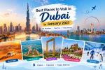 15 Best Places to Visit in Dubai in January 2027: Attractions, Travel Tips & 5-Day Guide