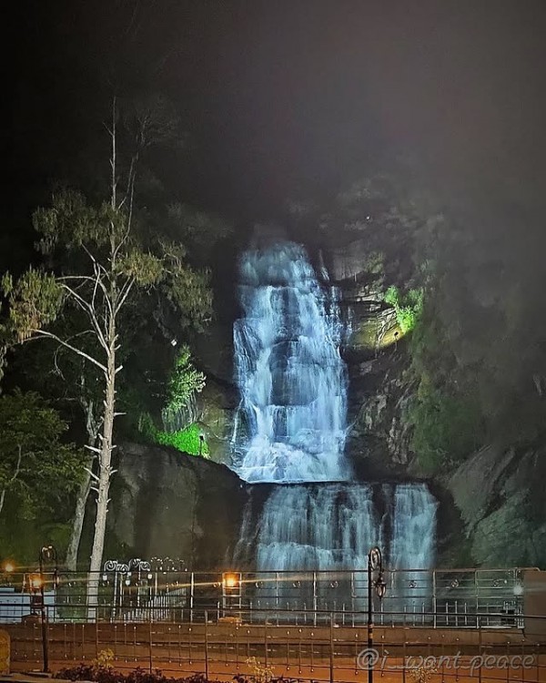 Ooty Weekend Getaway – 2 Nights / 3 Days Package