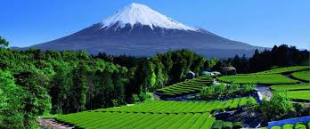 Himalayan Glimpses – 3 Nights & 4 Days of Gangtok & Darjeeling Delight