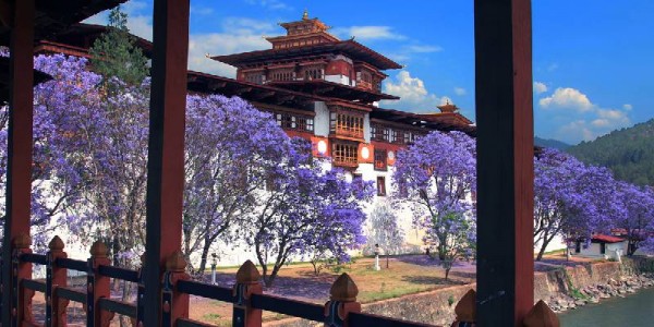 Discover Bhutan in 7 Days: Nature, Culture & Adventure from Bagdogra