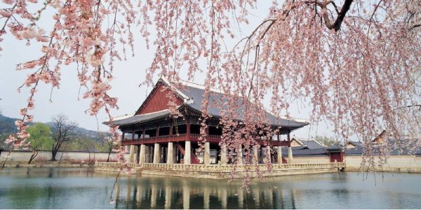 South Korea Tour from Hyderabad – 7N/8D | Seoul, Busan & Jeju